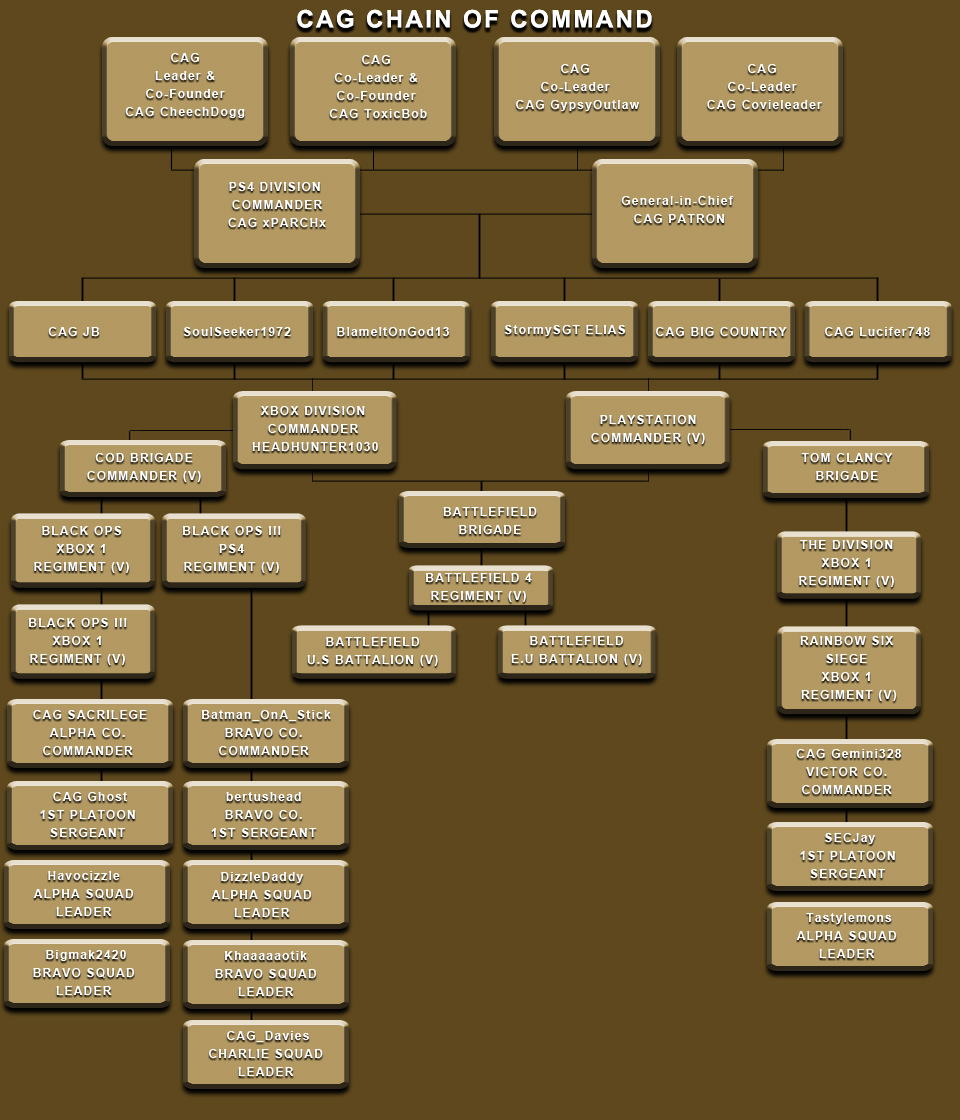 Cag Organisation Chart