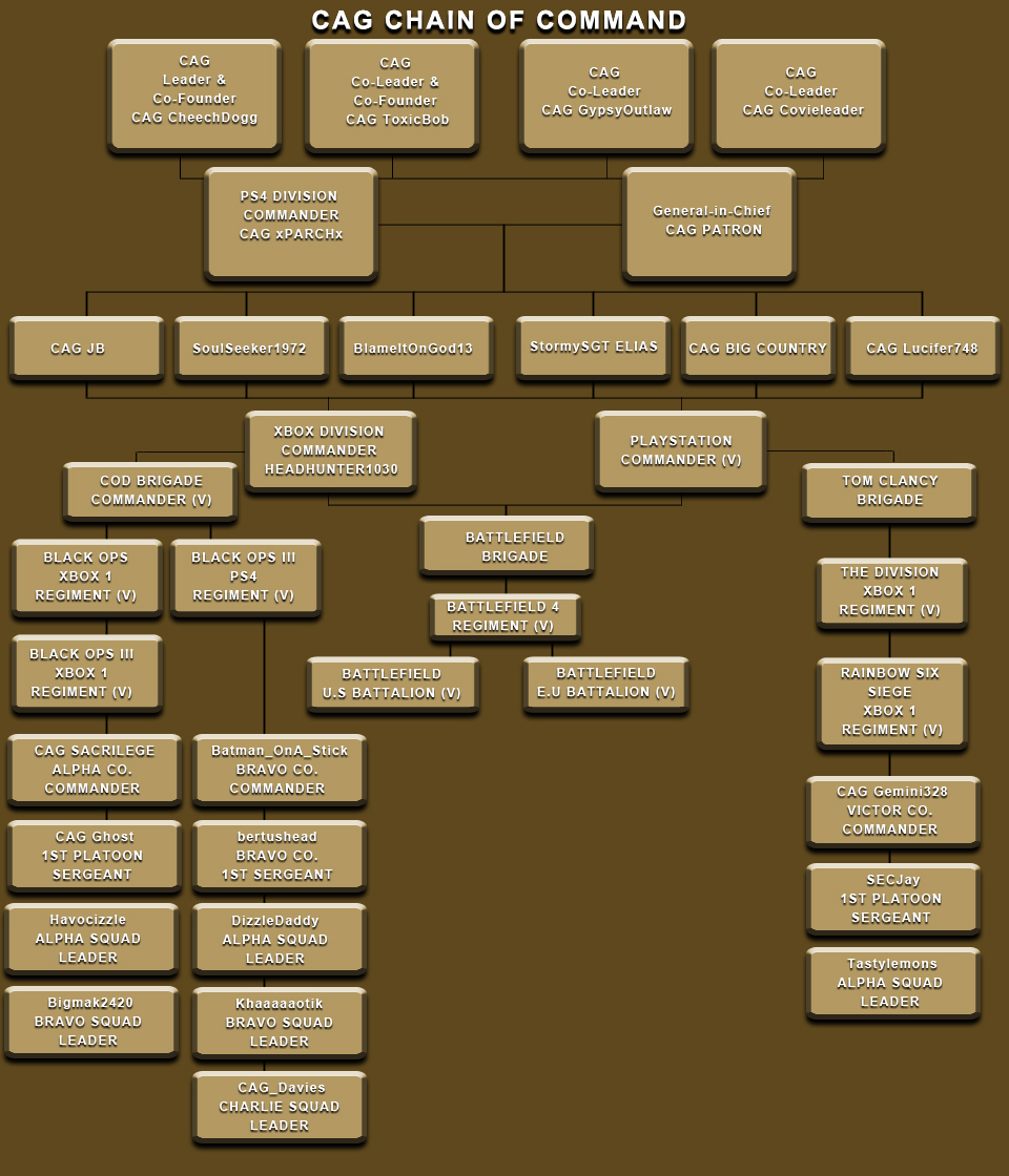 Cag Organization Chart