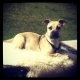 GreeeeN GRassss's Avatar