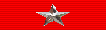 6 Month Service Ribbon