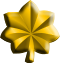 CAG Maj